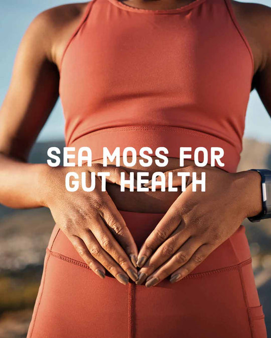 Sea Moss For Gut Health Herb Harmony