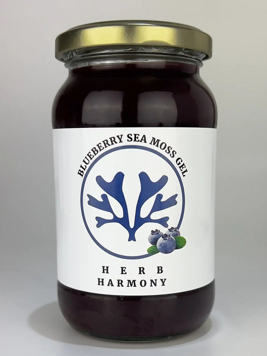 Blueberry Sea Moss Gel