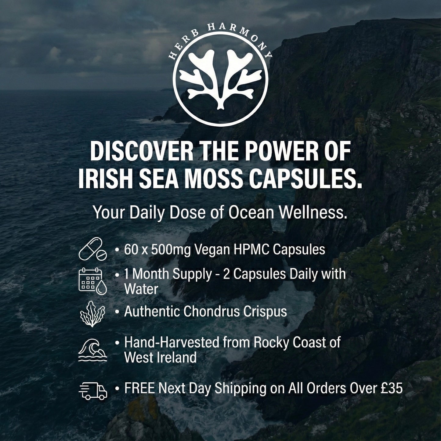 Irish Sea Moss Capsules - Chondrus Crispus - Herb Harmony