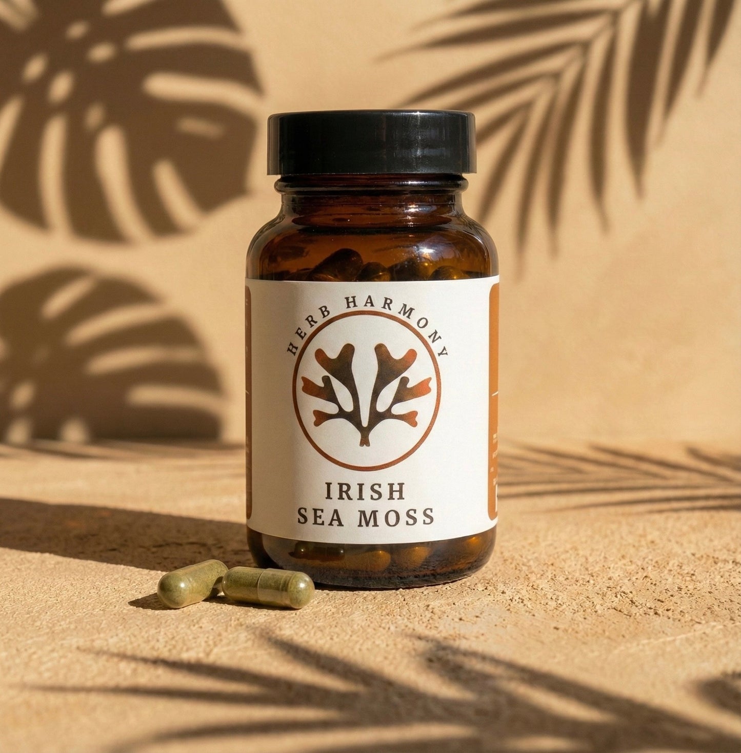 Irish Sea Moss Capsules - Chondrus Crispus - Herb Harmony