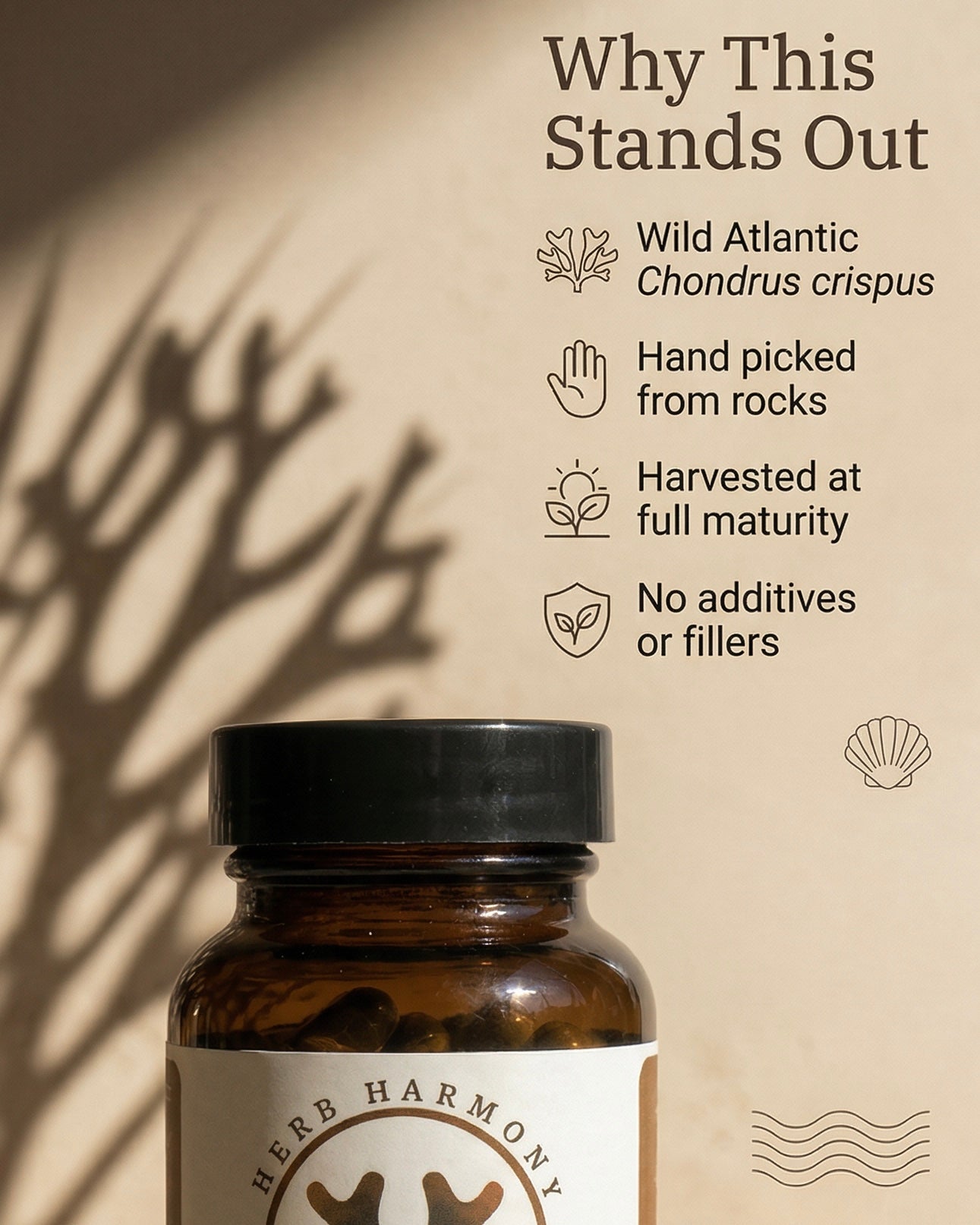 Irish Sea Moss Capsules - Herb Harmony