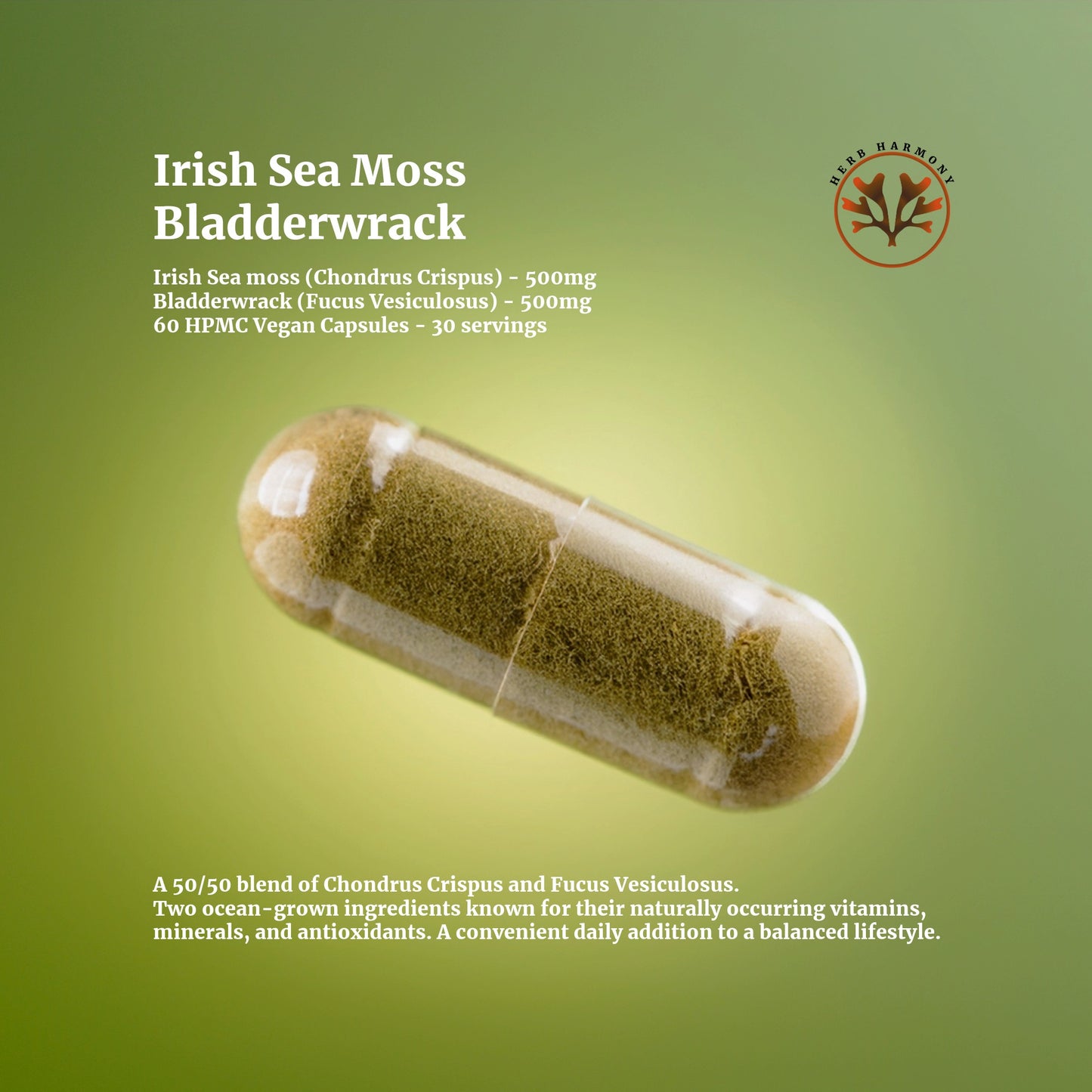 Irish Sea Moss & Bladderwrack - Herb Harmony