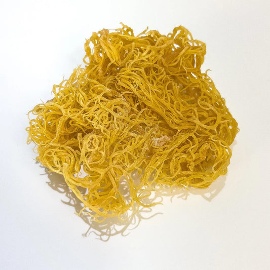 Organic Gold Sea Moss - Herb Harmony