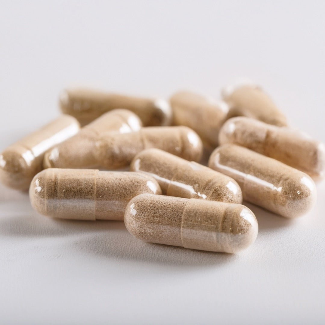 Organic Lion's Mane - Herb Harmony