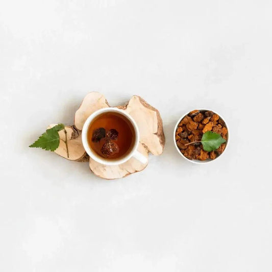 The power of mushrooms: Chaga - Herb Harmony
