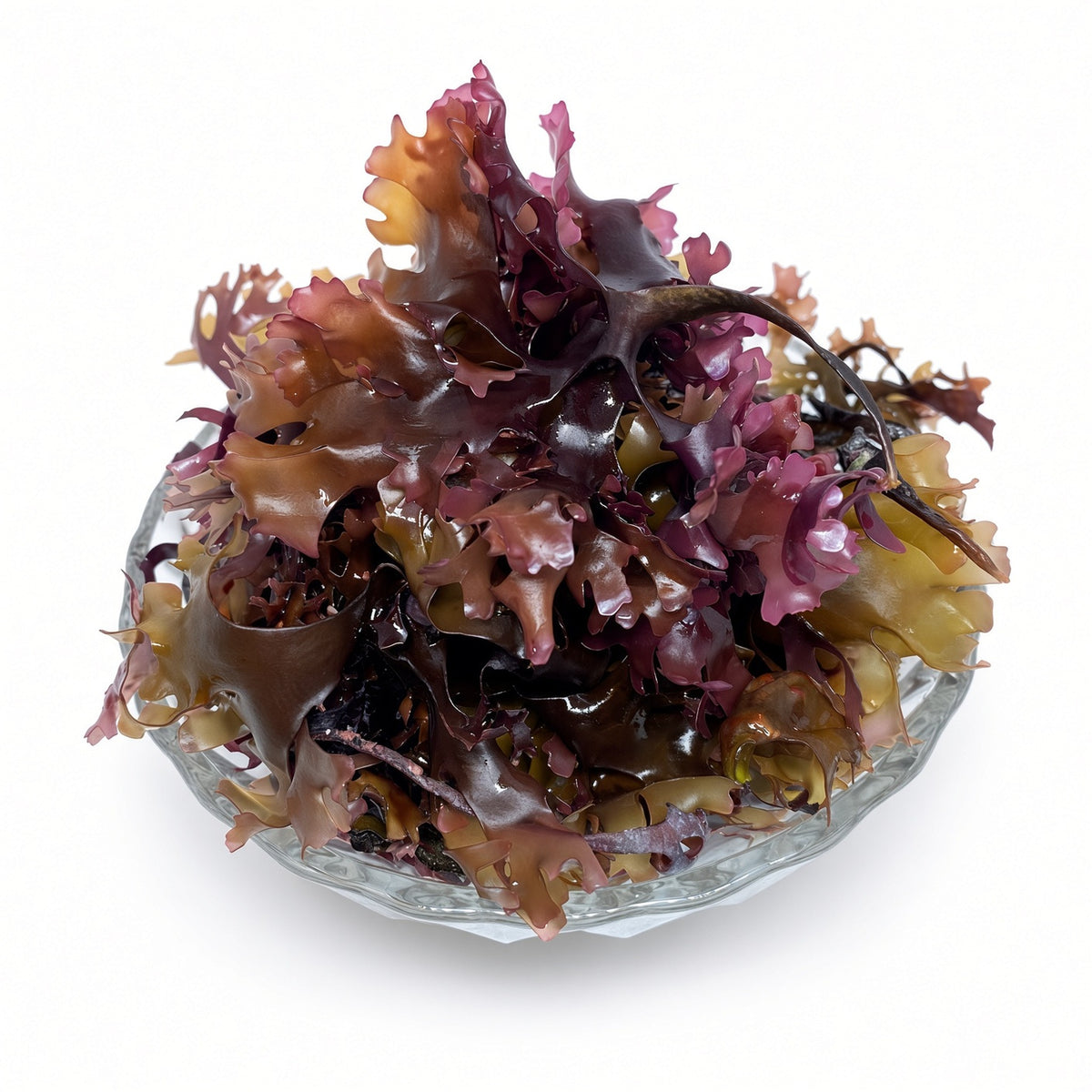 Irish Sea Moss Whole Leaf | Full Spectrum - Herb Harmony