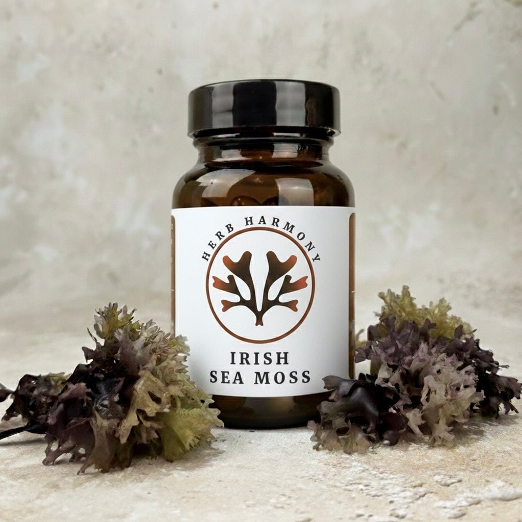 Irish Sea Moss Capsules - Chondrus Crispus - Herb Harmony