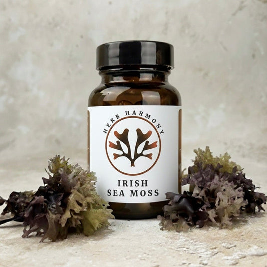 Irish Sea Moss Capsules - Chondrus Crispus - Herb Harmony