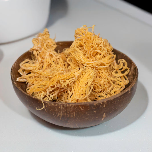 Gold Sea Moss
