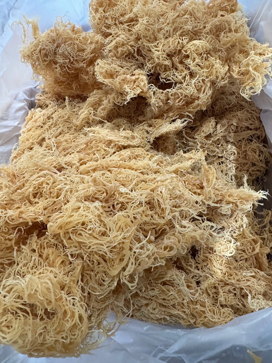 Organic Gold St. Lucia Sea Moss - Herb Harmony