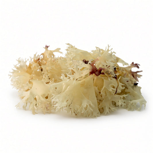 Irish Sea Moss Whole Leaf