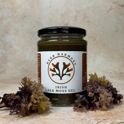 Irish Sea Moss Gel 500ml | Full Spectrum Chondrus Crispus