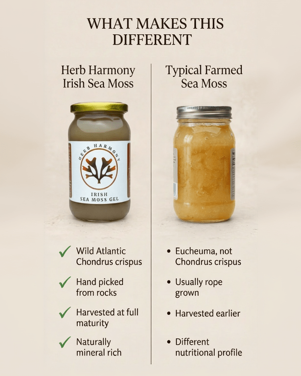 Irish Sea Moss Gel - Herb Harmony