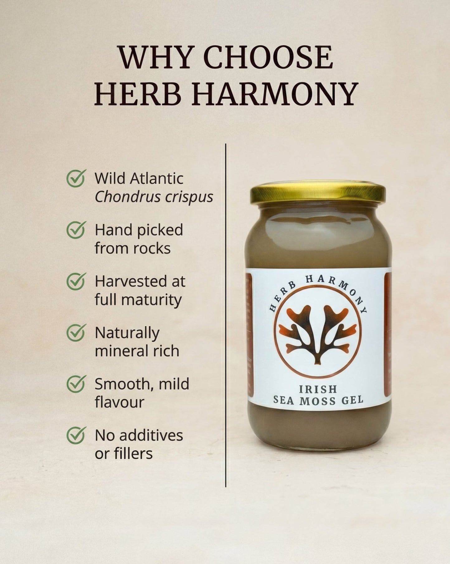 500ml glass jar of wildcrafted Irish Sea Moss Gel - Herb Harmony