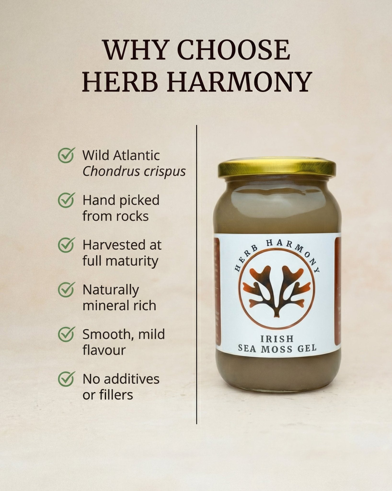 500ml glass jar of wildcrafted Irish Sea Moss Gel - Herb Harmony