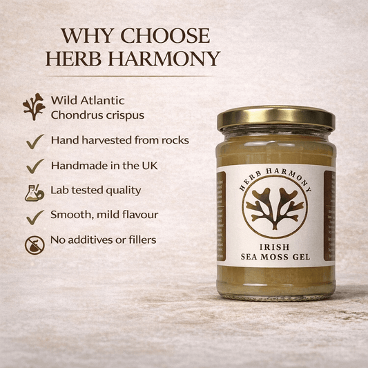 Irish Sea Moss Gel (380ml) - Herb Harmony