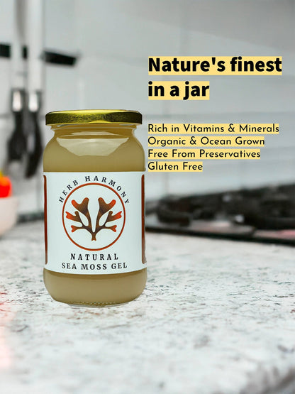 Natural Sea Moss Gel - Herb Harmony