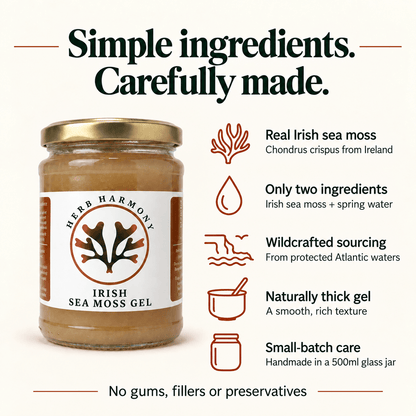 Irish sea moss gel ingredients and preparation graphic: Chondrus crispus from Ireland, sea moss and spring water, wildcrafted sourcing from protected Atlantic waters, naturally thick texture, and small-batch handmade gel in a 500ml glass jar. No gums, fillers or preservatives.
